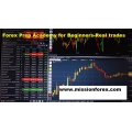 Forex Prep Academy for Beginners-Real trades 